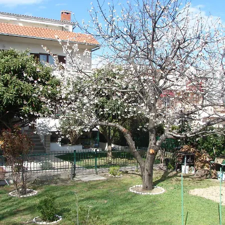 Svagi Rooftop ספליט