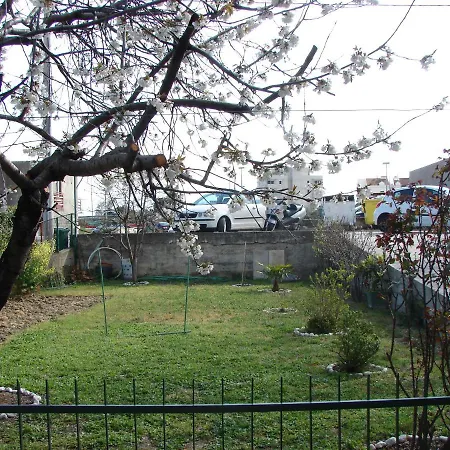 Svagi Rooftop ספליט