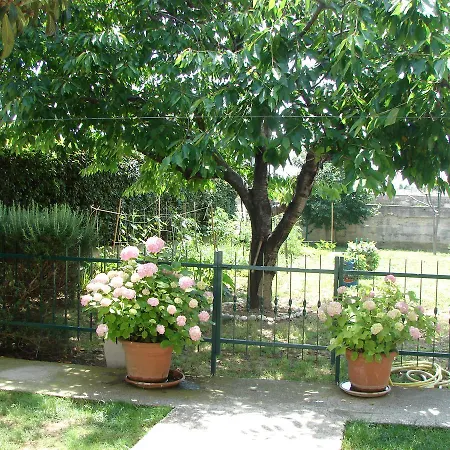 Svagi Rooftop דירה *